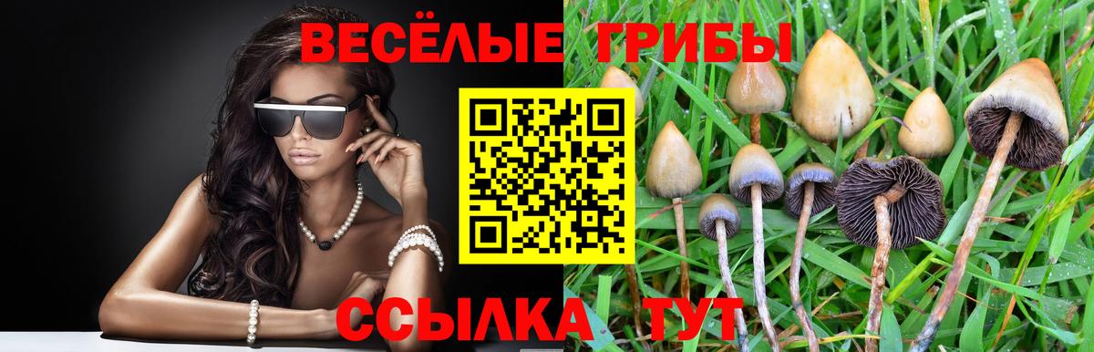 Псилоцибиновые грибы MAGIC MUSHROOMS Холмск